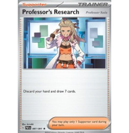 Professor's Research (PAF 087) - HOLO